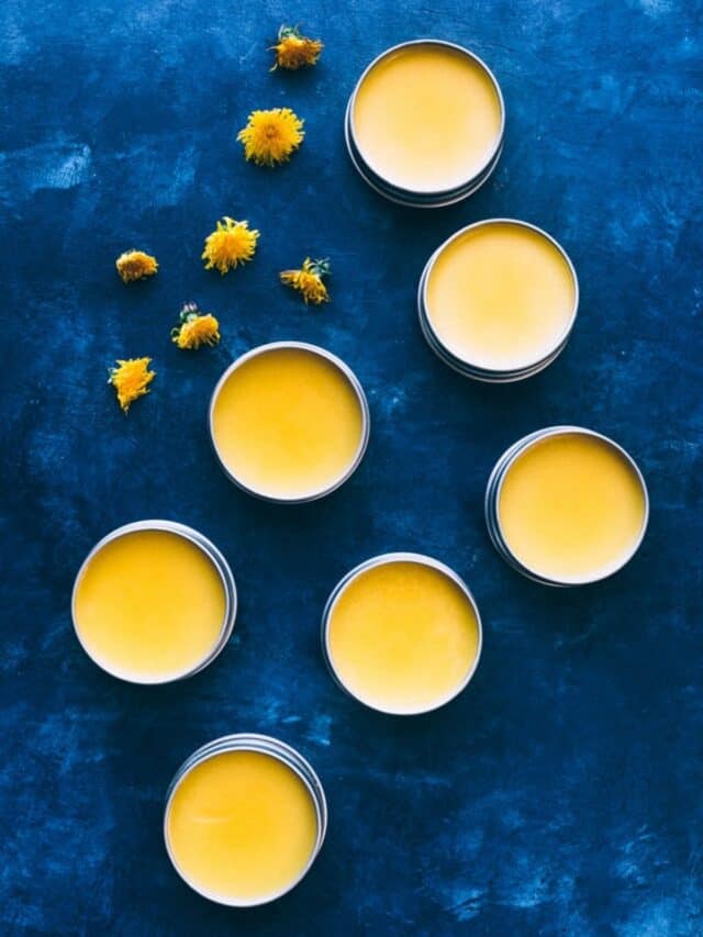 How to Make Dandelion Salve