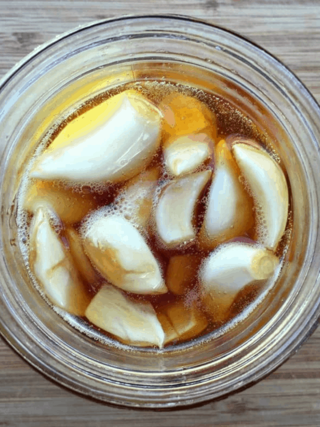 Fermented Honey Garlic