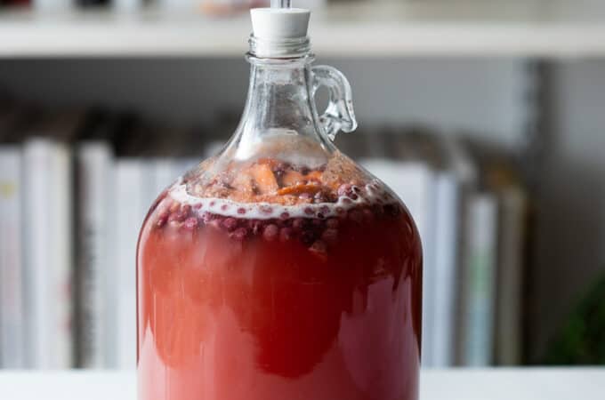 one gallon of mead (honey wine) fermenting