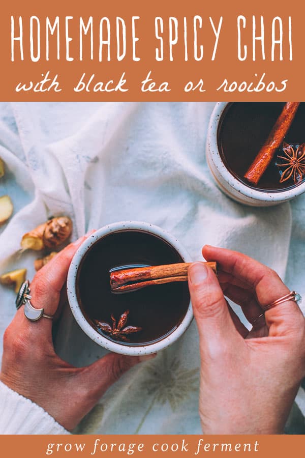 Homemade Spicy Chai with Black Tea or Rooibos