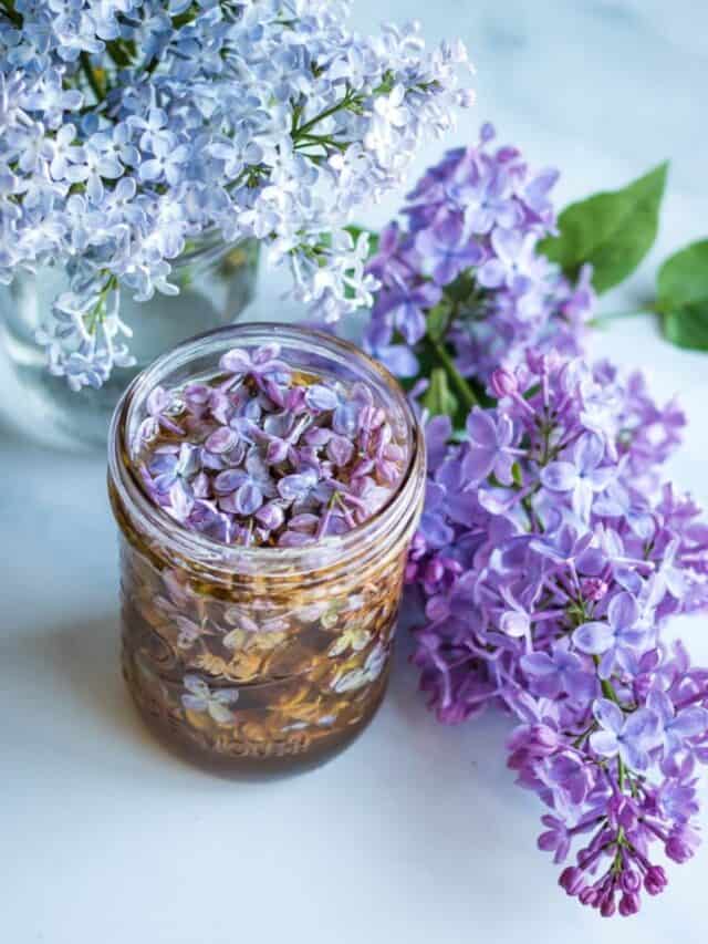 Lilac Flower Infused Honey