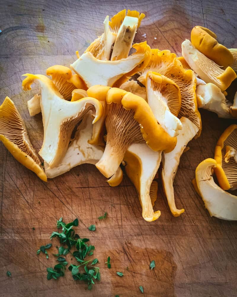 Foraging Chanterelle Mushrooms: Identification & Look-alikes