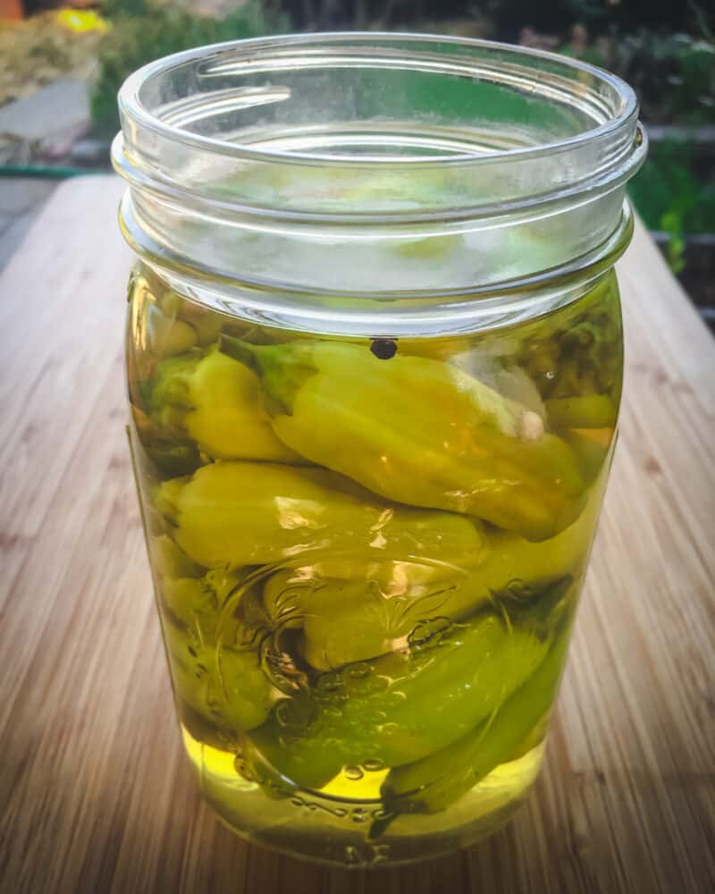 15+ Ways to Preserve Peppers: Freeze, Can, Dry, Ferment & More!