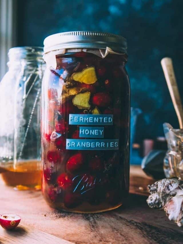 Fermented Honey Cranberries