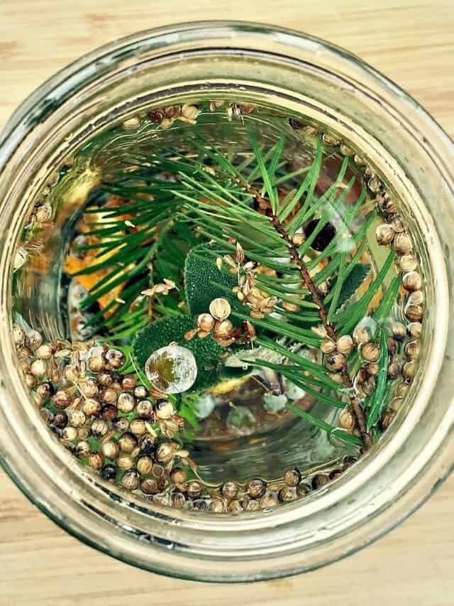 Homemade Infused Gin