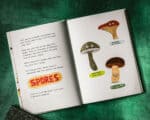 15+ Best Mushroom Books for Kids