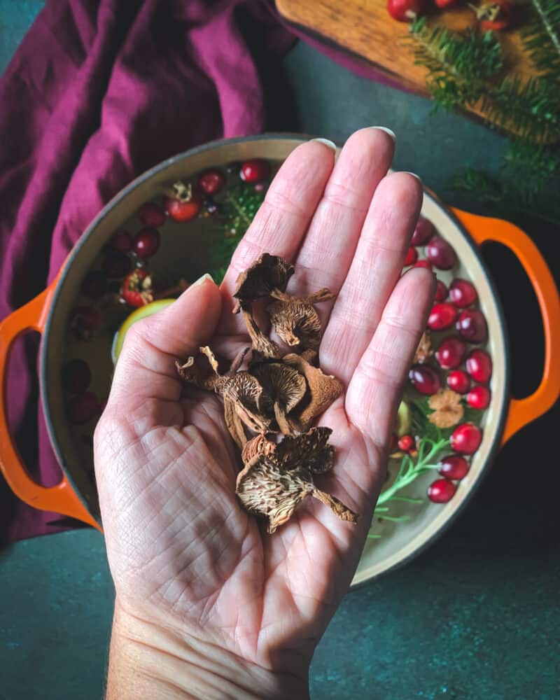 Foraged Simmer Pot Winter Stovetop Potpourri