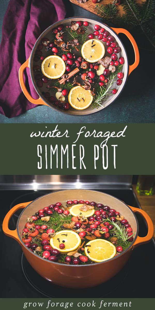 Foraged Simmer Pot: Winter Stovetop Potpourri