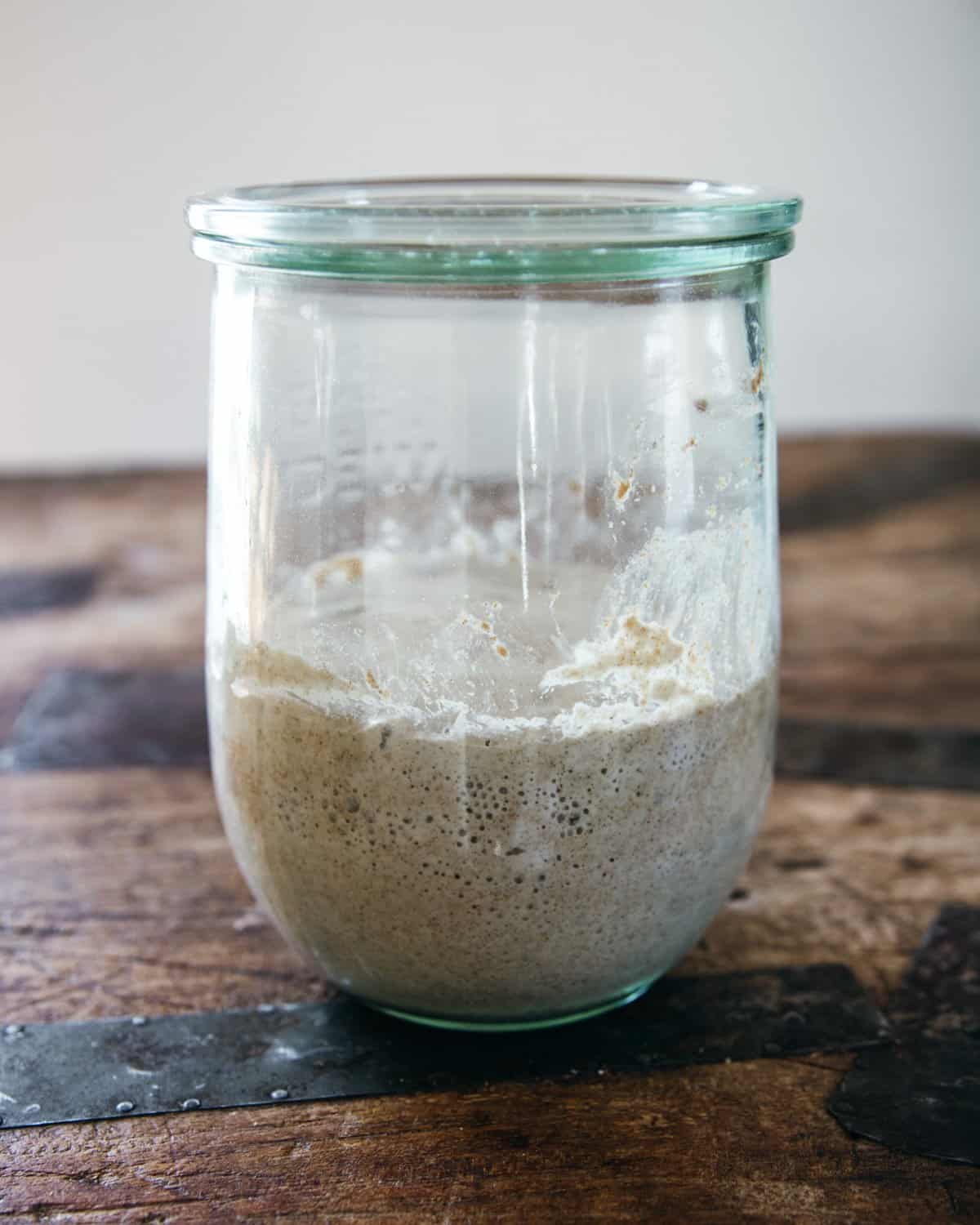 The Best Containers for Sourdough Starter of 2023