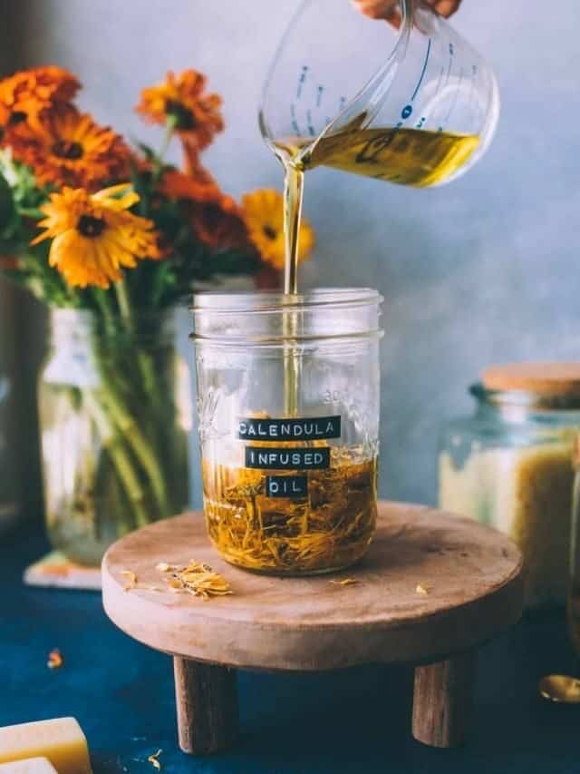 How to Make Calendula Oil & Calendula Oil Uses