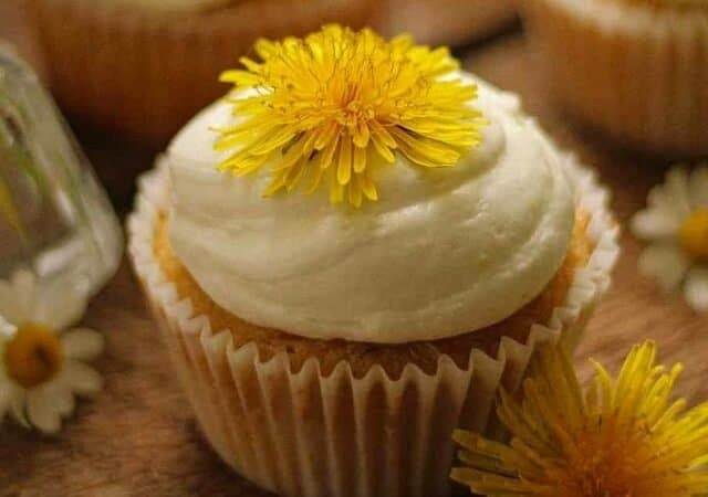 Dandelion cupcakes