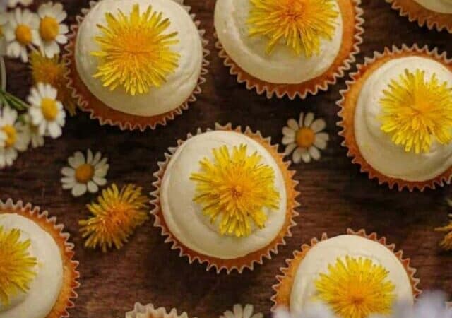 easy dandelion recipes you need to try this spring