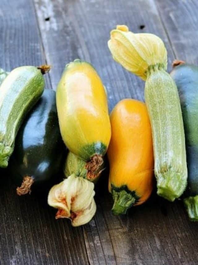 5  Best Ways to Preserve Zucchini