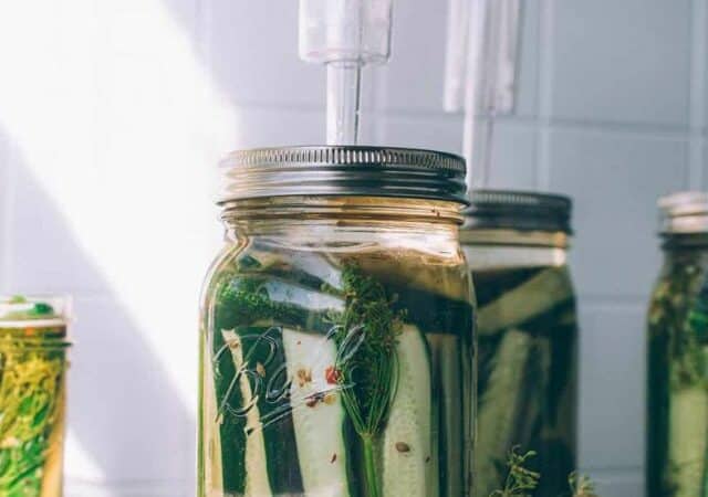 fermenting cucumber pickles in a mason jar