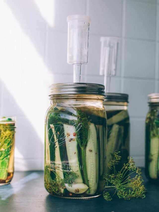 Fermented Dill Pickles