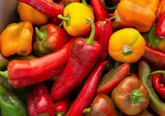 fresh garden peppers