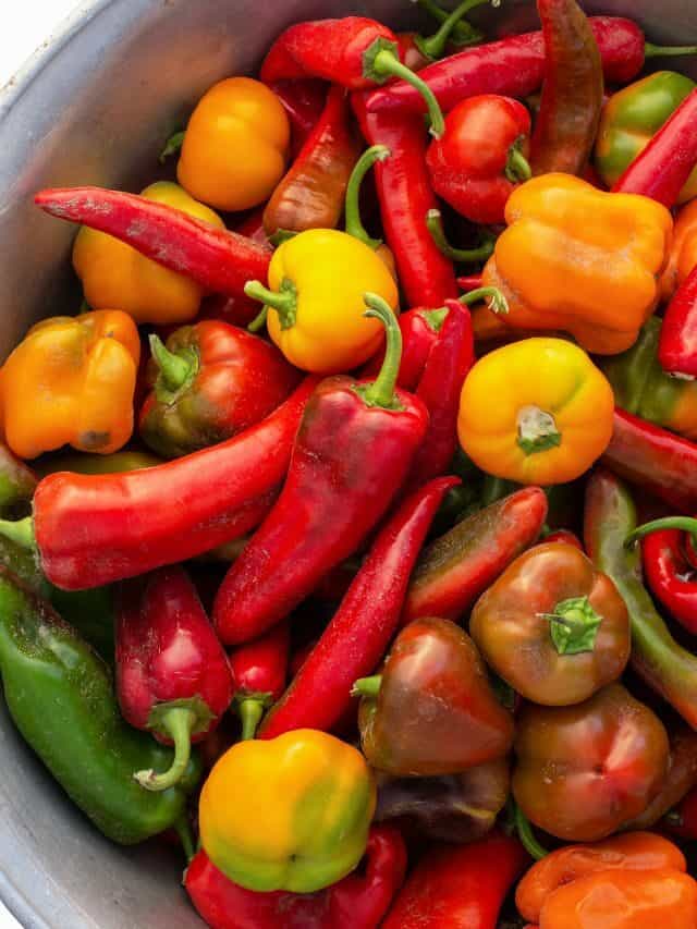 5 Best Ways to Preserve Peppers