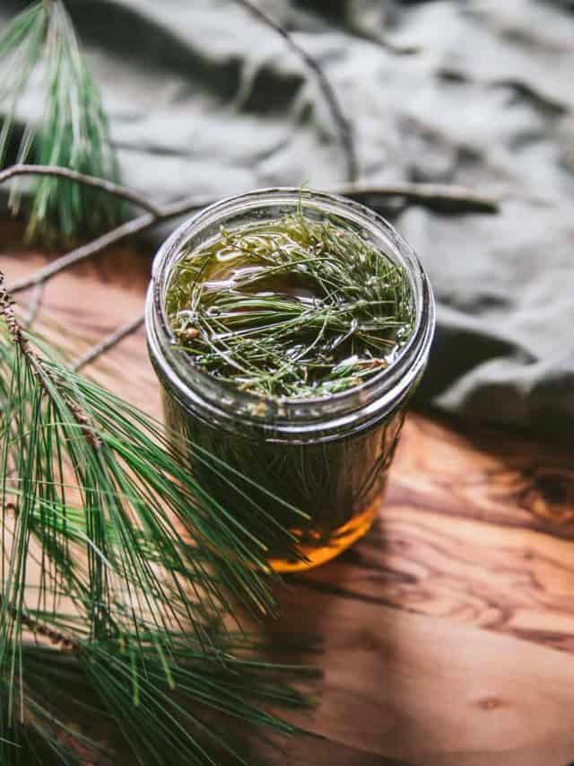 Pine Needle Infused Honey