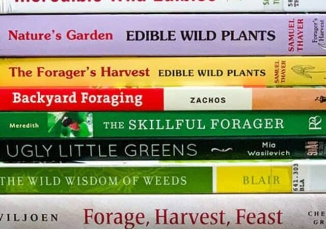 foraging books for beginners