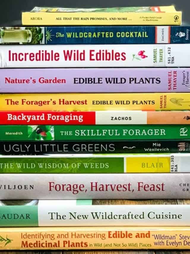 6 Best Foraging Books for Beginners