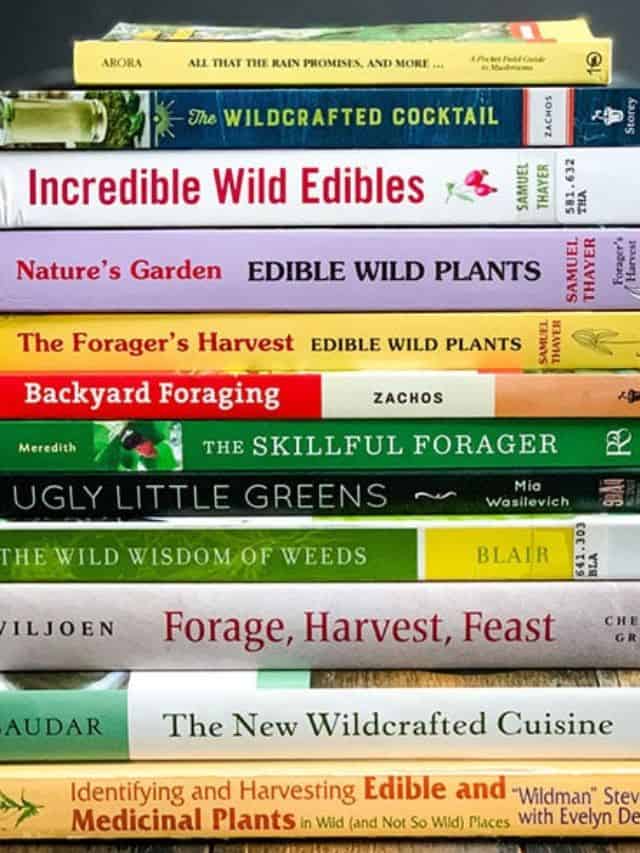 6 Best Foraging Books For Beginners - Grow Forage Cook Ferment