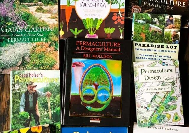 best permaculture books for beginners