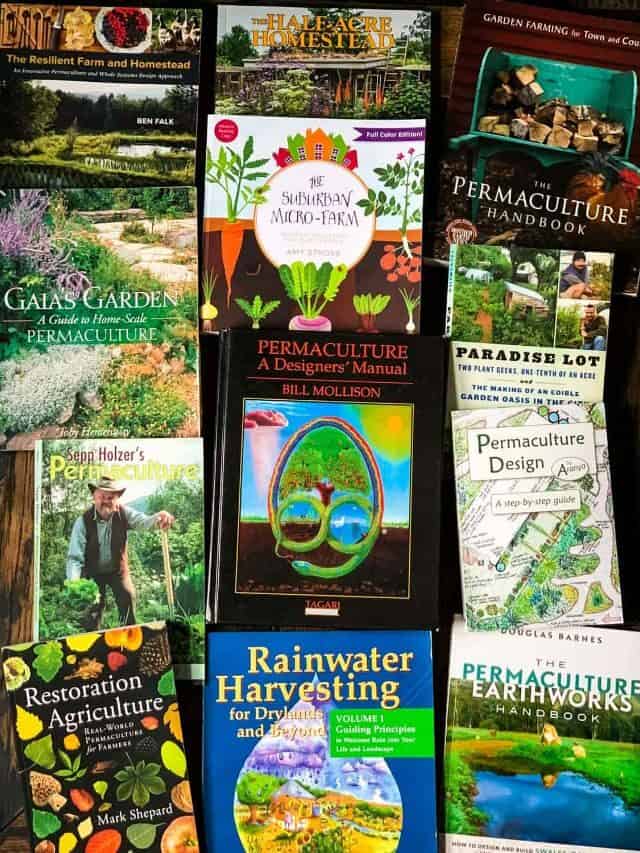 Top 5 Best Permaculture Books for Beginners