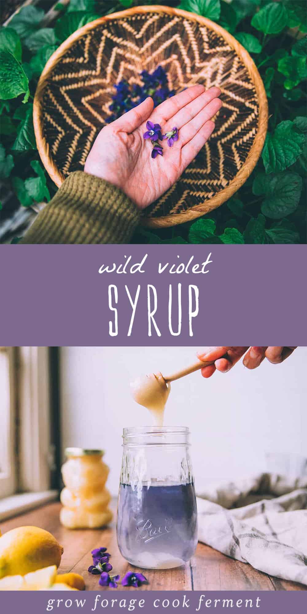 Wild Violet Syrup Spring Foraging Recipe