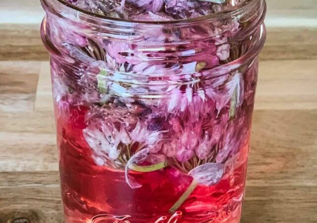 chive blossom vinegar