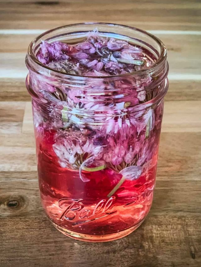 Chive Blossom Vinegar