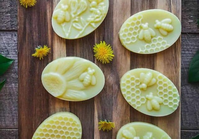 dandelion lotion bar recipe