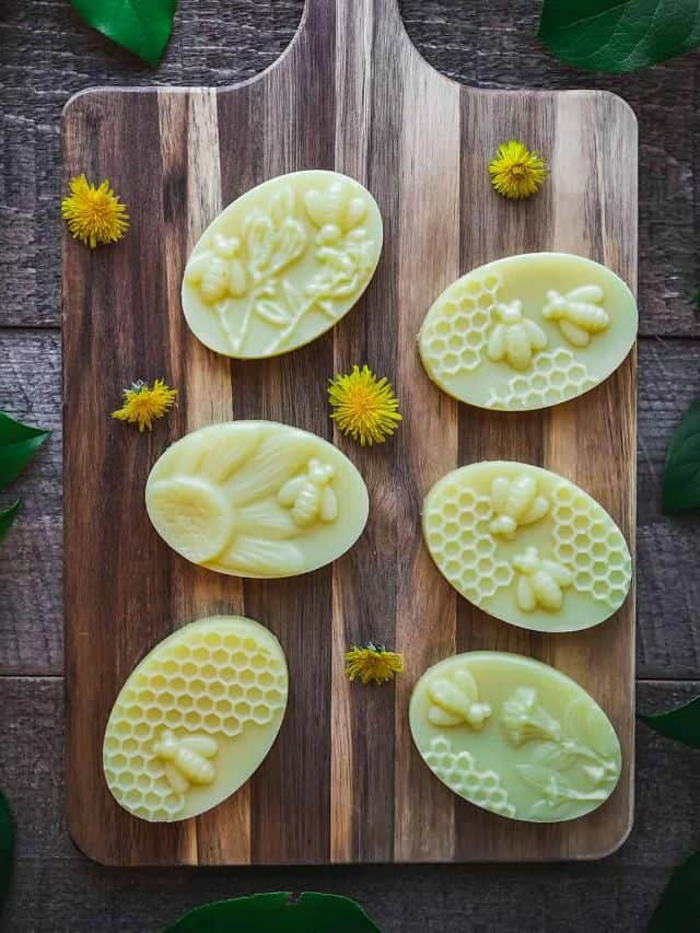 Dandelion Lotion Bar Recipe