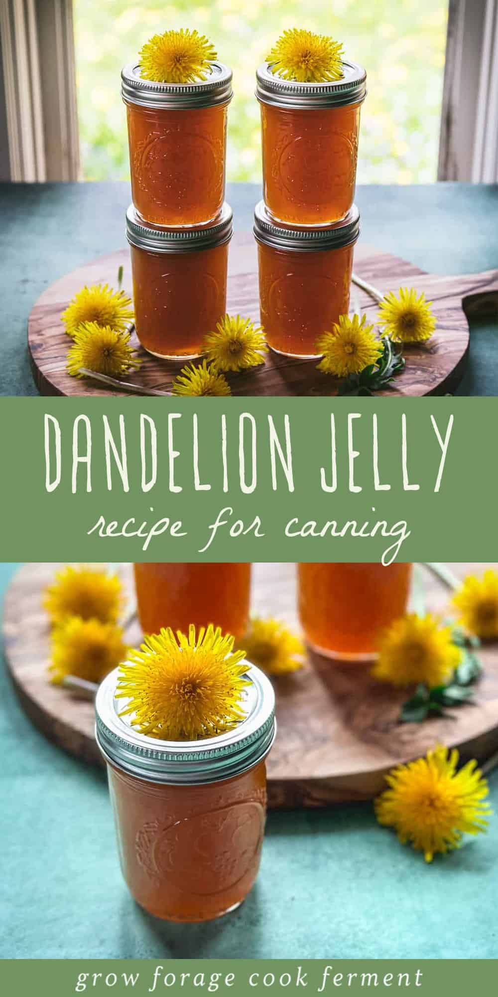 Dandelion Jelly: Low-Sugar or Honey