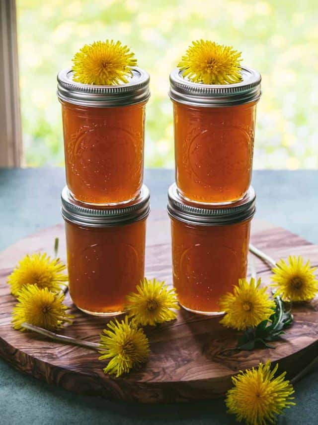 How to Make Dandelion Jelly Grow Forage Cook Ferment