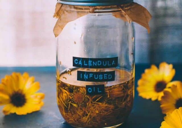 making calendula oil & calendula oil benefits