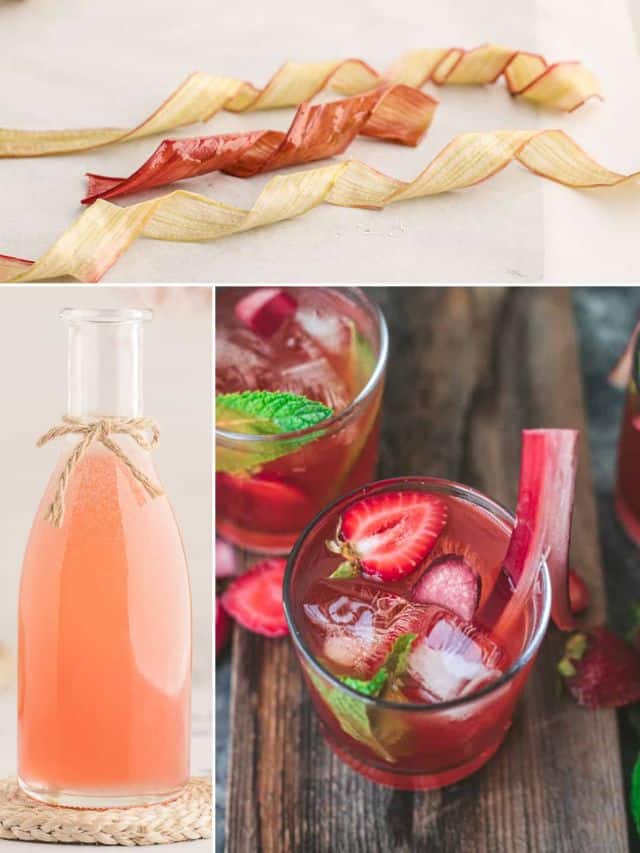 6 Easy Rhubarb Recipes to Make This Summer