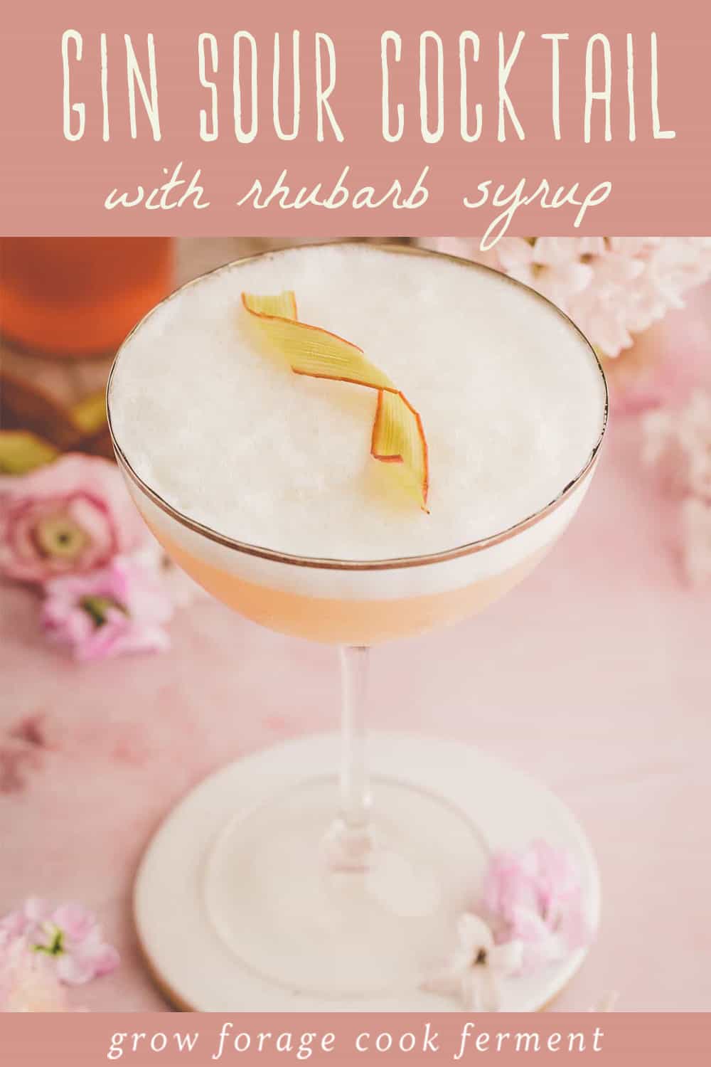 Rhubarb Gin Sour Cocktail