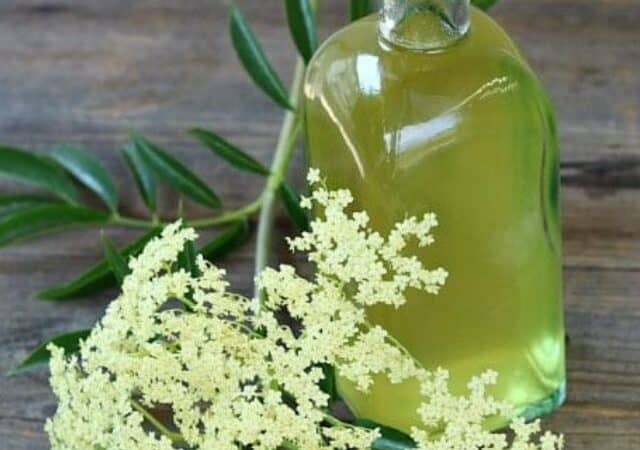 how to make elderflower liqueur