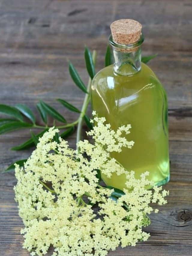 How to Make Elderflower Liqueur (St. Germain Liqueur)