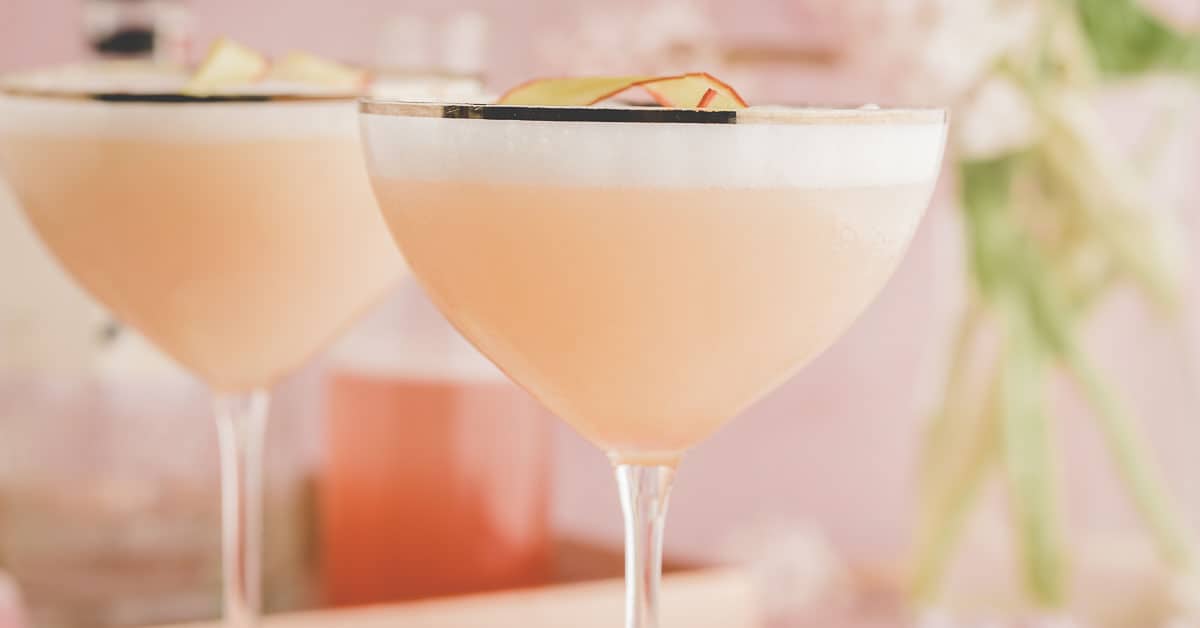 Rhubarb Gin Sour Cocktail