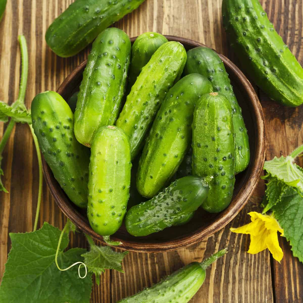How to Preserve Cucumbers: Ferment, Can, Freeze and More!