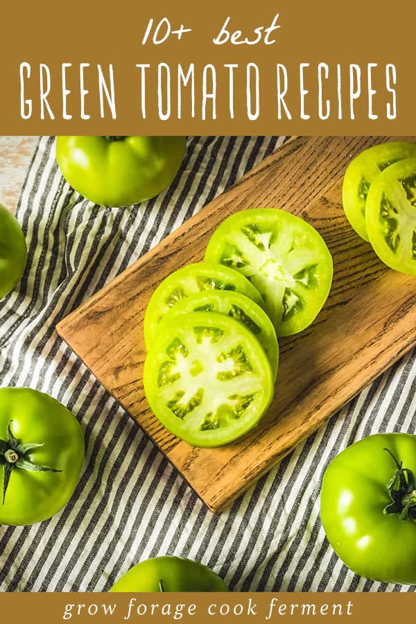 Green Tomato Recipes Cook Preserve   10 Best Green Tomato Recipes 