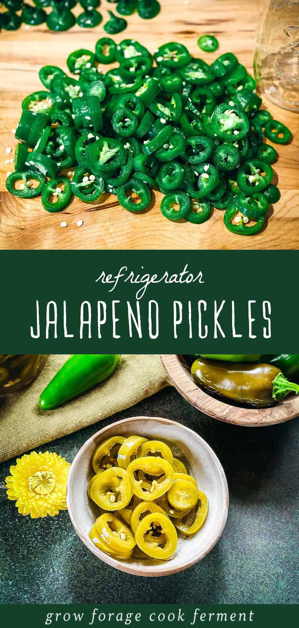 Pickled Jalapeño Peppers Quick Refrigerator Recipe