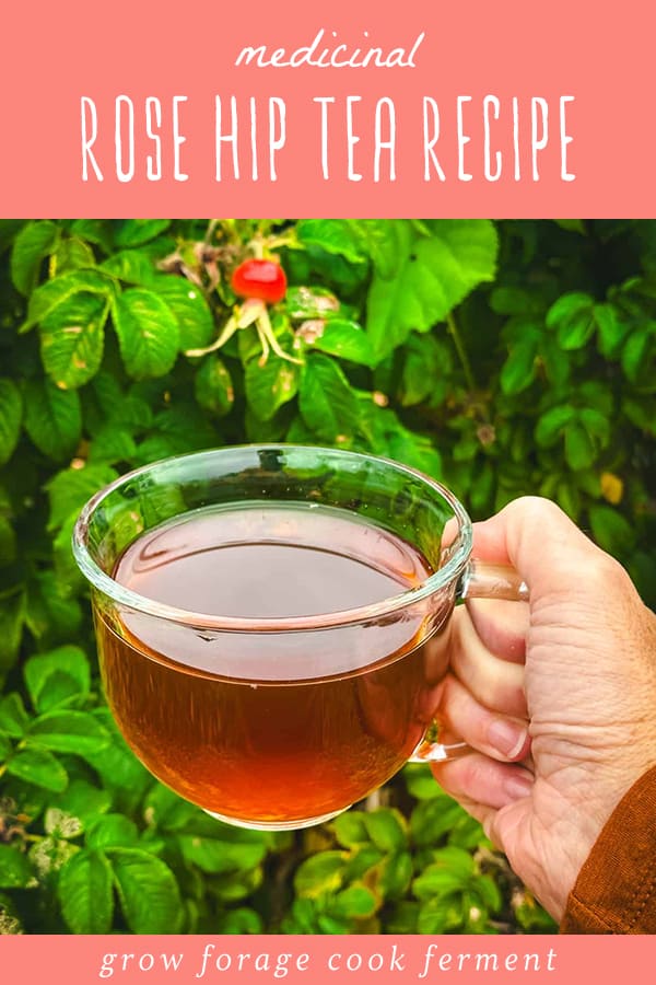 Rose Hip Tea with Fresh or Dried Rose Hips