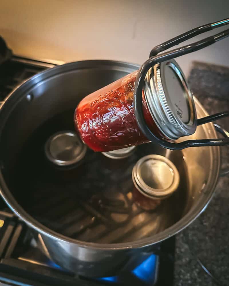 Canning Cranberry Sauce: Whole Berry or Jellied