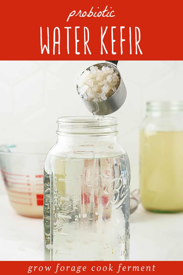 How to Make Water Kefir