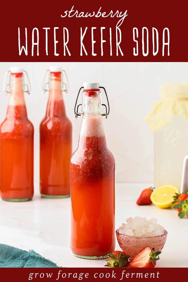 Strawberry Water Kefir Soda: Second Ferment