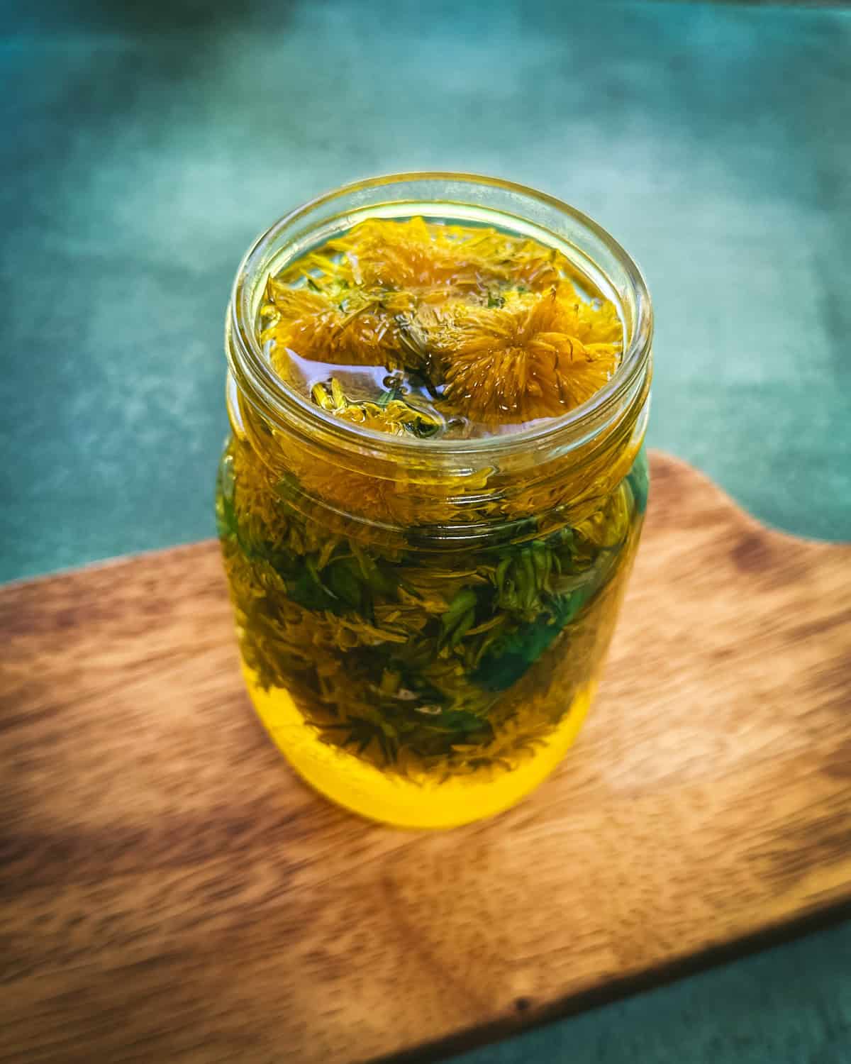 Dandelion tea steeping in a jar, on a wood cutting board with a teal background. 