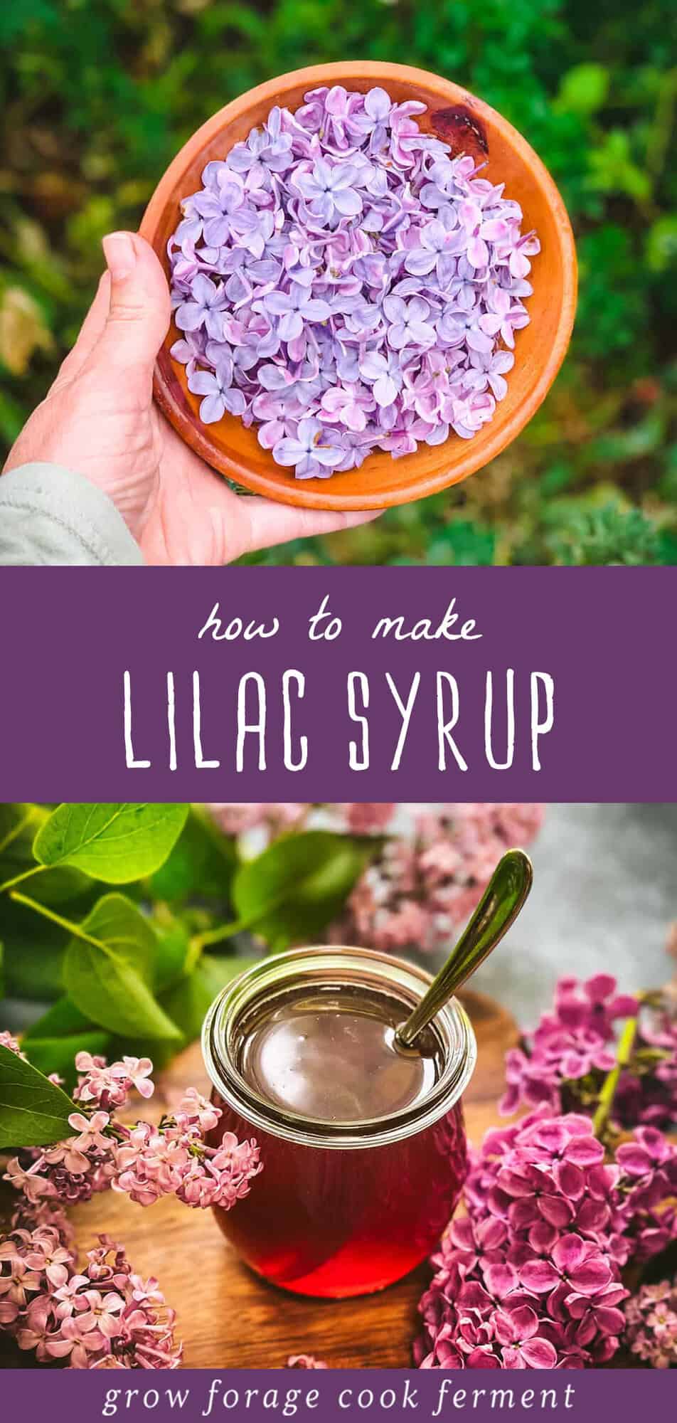 Lilac Syrup: Light Floral Flavor of Spring