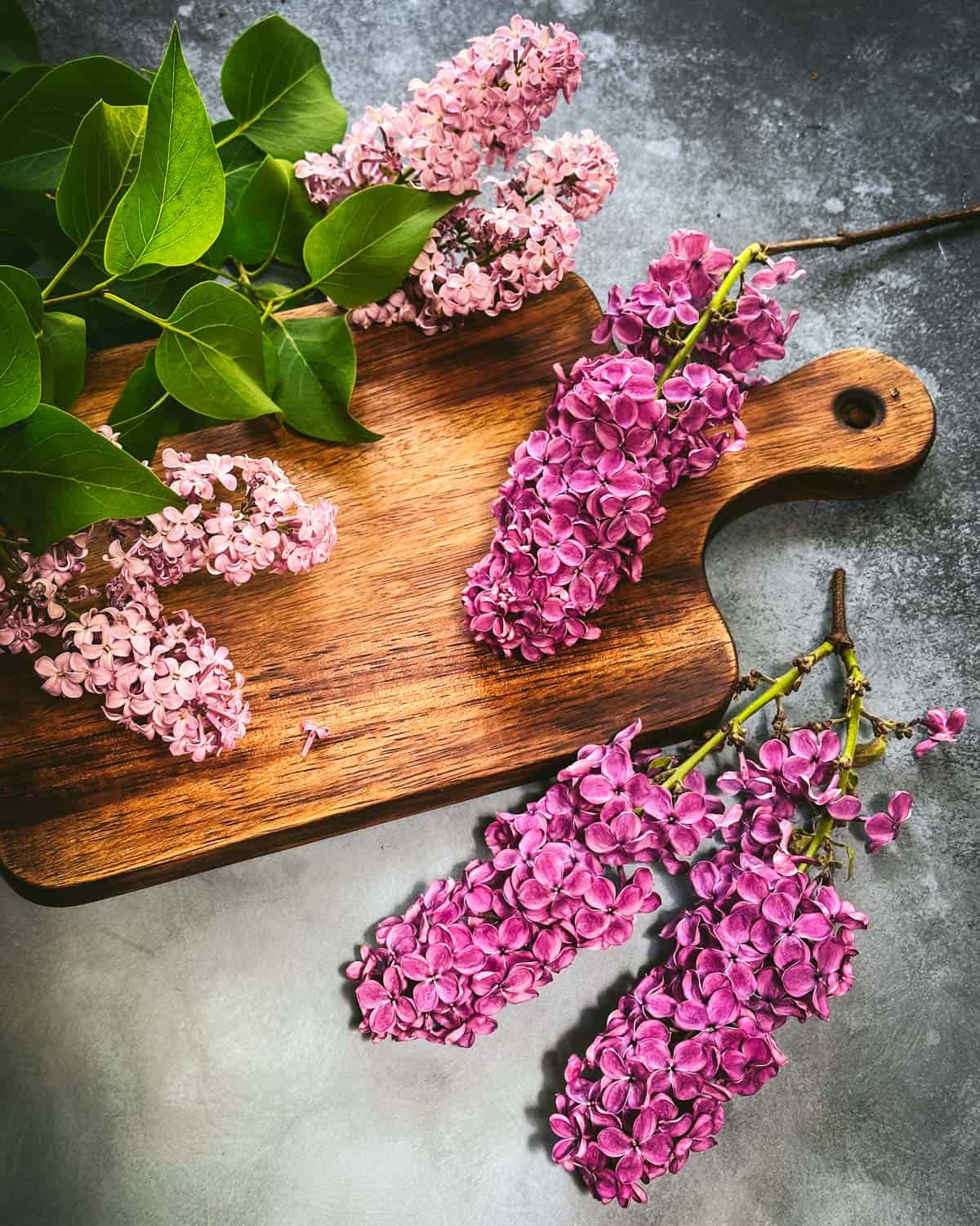 Clusters of fresh lilac flowers on a wood cutting board. 